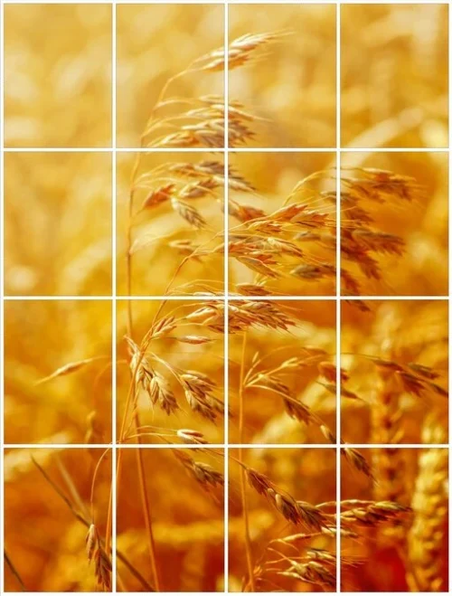 Foto Tegelsticker 20x15 'Graan' 80x60 Cm Hxb