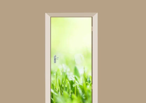 Deursticker Dauw Op Gras