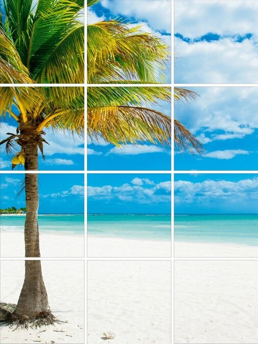 Foto Tegelsticker 15x15 'Palmboom' 60x45 Cm Hxb 3 Foto Tegelsticker 15x15 'Palmboom' 60x45 Cm Hxb