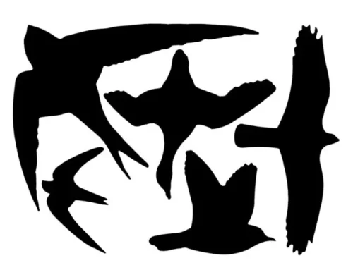 Raamstickers Vogels