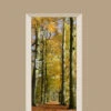 Deursticker Herfst In Het Bos -Plakfolie Winkel 2099661441