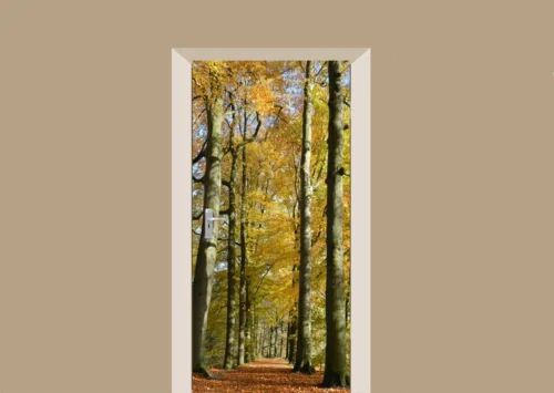 Deursticker Herfst In Het Bos