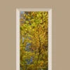 Deursticker Herfst Bladeren -Plakfolie Winkel 2099661447
