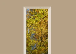 Deursticker Herfst Bladeren