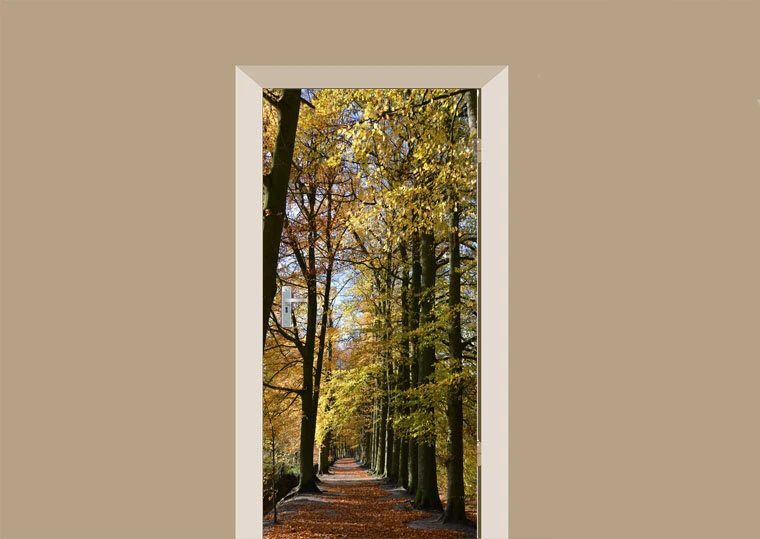 Deursticker Beukenpad 3 Deursticker Beukenpad