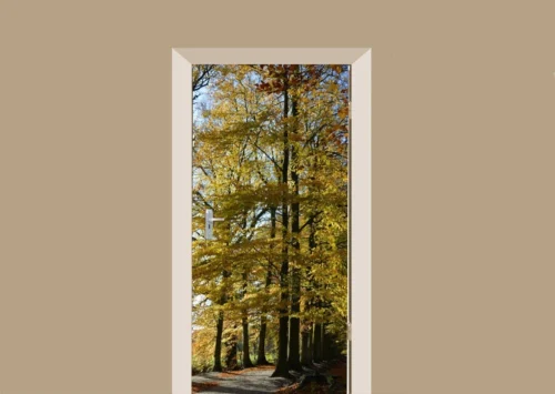Deursticker Beuken In De Herfst