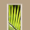 Deursticker Palmblad -Plakfolie Winkel 2099662551