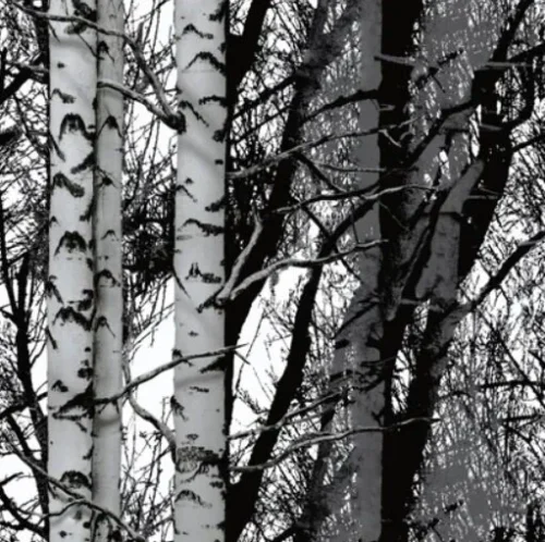 Plakfolie Forest 67,5x200cm