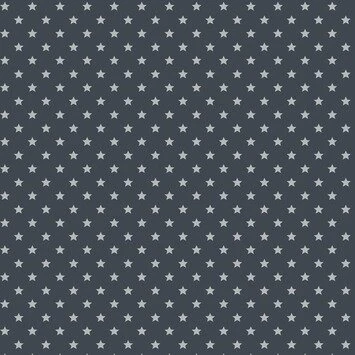 Plakfolie Sterren Grijs/zilver 45x200cm 3 Plakfolie Sterren Grijs/zilver 45x200cm